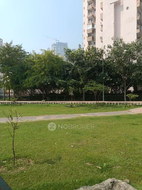 Shared Room for  In 3 BHK  In Golf City In Sector 75