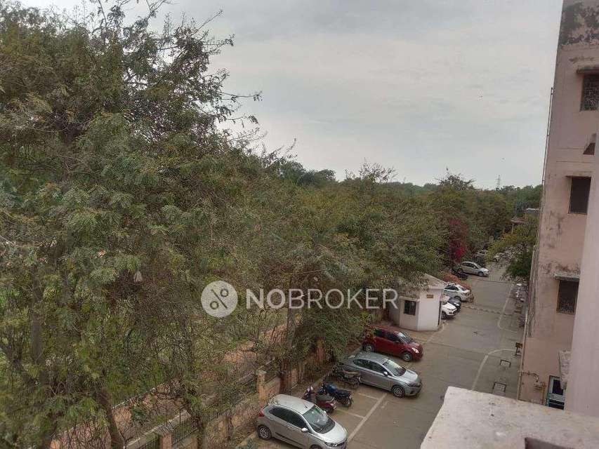 1 BHK Flat In Dda Flat for Rent  In Mundka