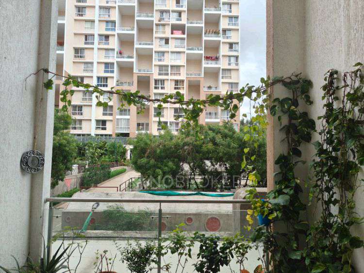 2 BHK Flat In Nyati Esteban for Rent  In Undri