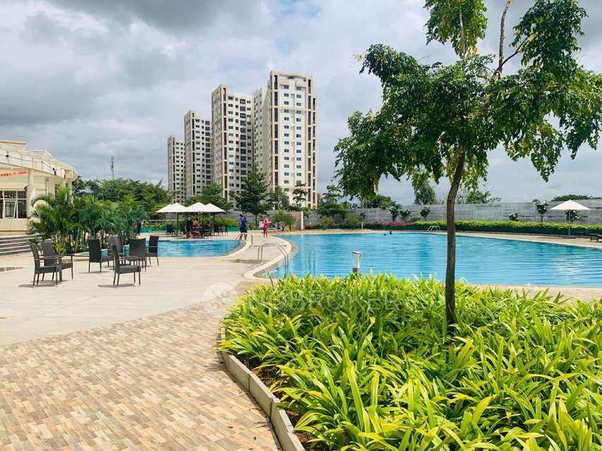 2 BHK Flat In Shriram Greenfield for Rent  In Bommenahalli