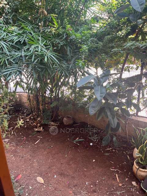 3 BHK Villa In Bu Bhandari Chrrysalis  for Rent  In Wagholi