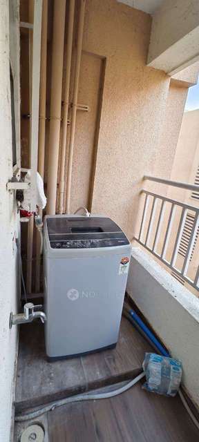 1 BHK Flat In Standalone for Rent  In Wagholi