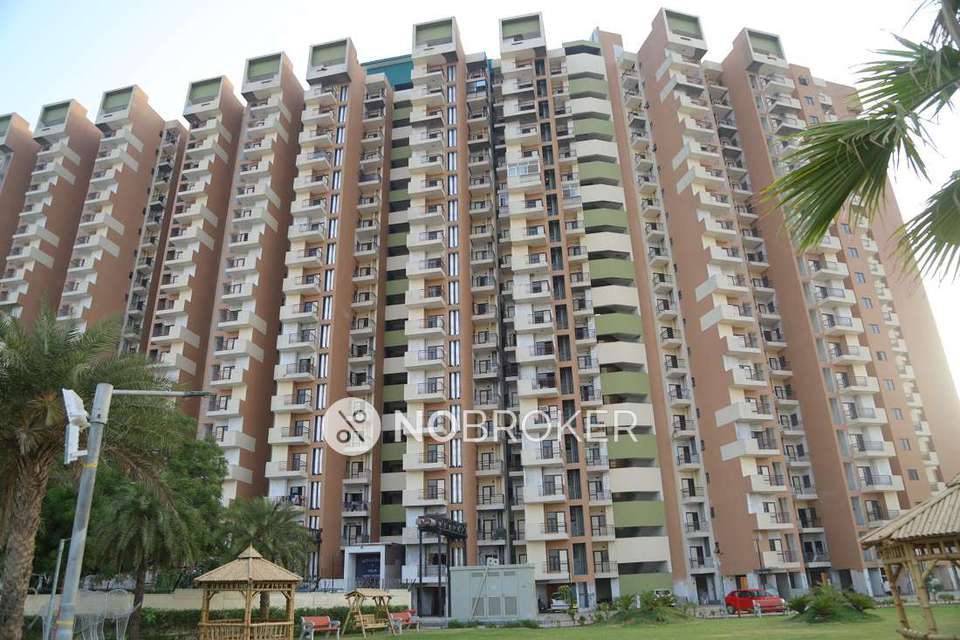 2 BHK Flat In Sg Grand for Rent  In Raj Nagar Extension