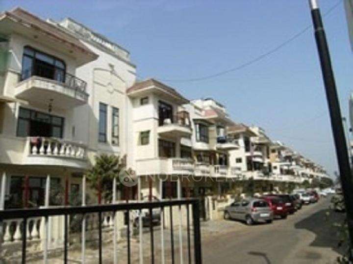 4+ BHK Flat In Orchid Residency  for Rent  In Sector 50