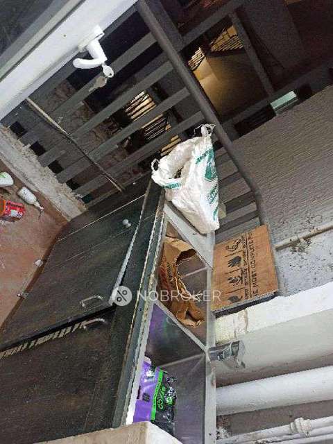 3 BHK Flat In Mapkso Mount Ville For Sale  In  Sector 79