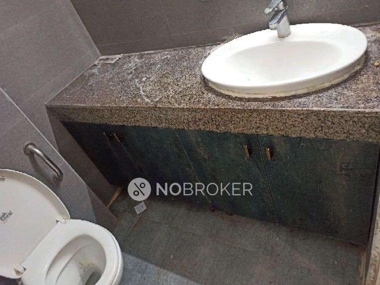 3 BHK Flat In Mapkso Mount Ville For Sale  In  Sector 79