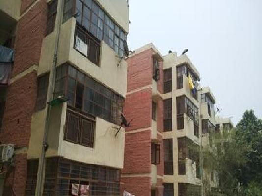 Shared Room for Male In 2 BHK  In Dda Flates  In Pushp Vihar