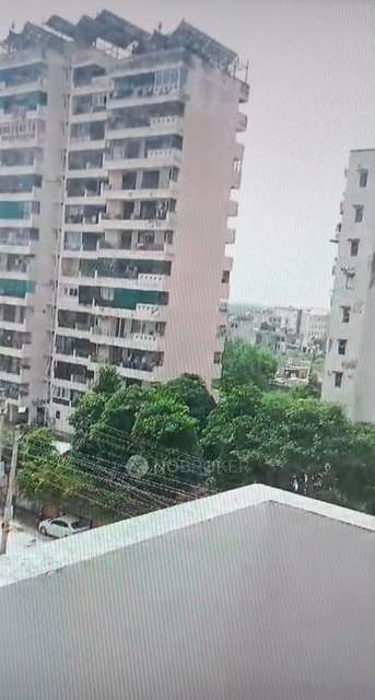 3 BHK Flat In Sarvome Shree Homes Phase 2 for Rent  In Sector 45