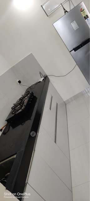 1 BHK Flat In Sheth Tiara for Rent  In Tiara - The Crown Of Wakad