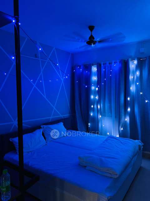 PG for Anyone in Colive 1302 Jade