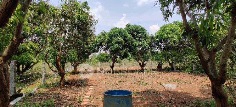 Plot For Sale  In Yennigere