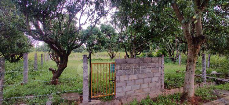 Plot For Sale  In Yennigere