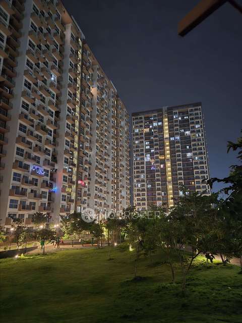 2 BHK Flat In Godrej Boulevard for Rent  In Manjari Khurd