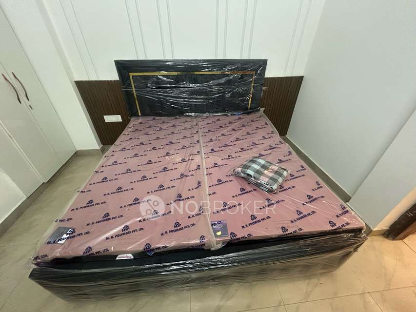 2 BHK Flat In Niti Khand 2 for Rent  In 32, Mayur Vihar, Niti Khand 2, Indirapuram, Ghaziabad, Uttar Pradesh 201014, India