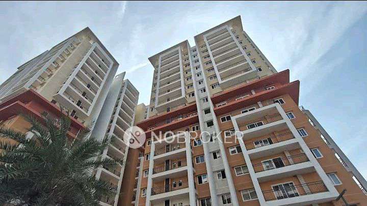 3 BHK Flat In Cyberwoods - Bricks Infratech for Rent  In  Osman Nagar