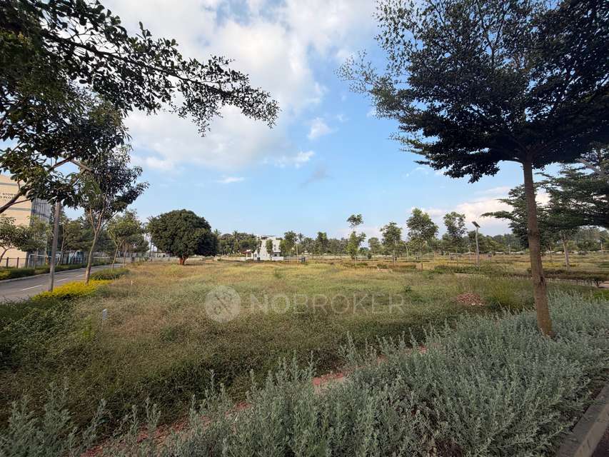 Plot For Sale  In Kns Atharva In Kns Atharva 