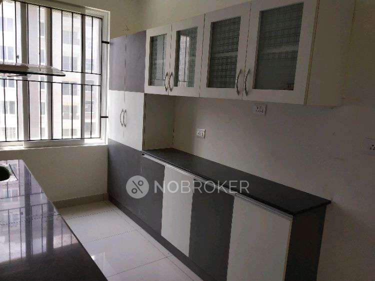 3 BHK Flat In Brigade Orchards for Rent  In Devanahalli