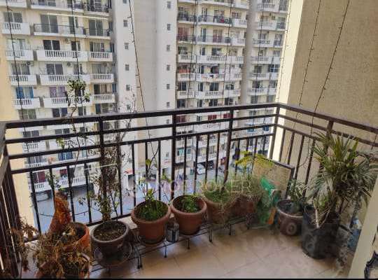2 BHK Flat In Mgh Mulberry County For Sale  In Sector 70