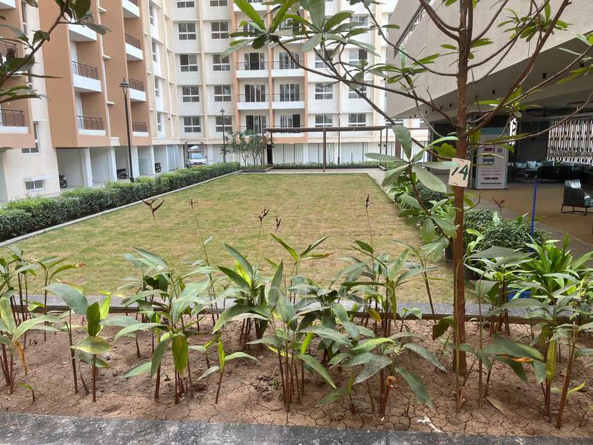 2 BHK Flat In Raheja Sterling for Rent  In Mohammed Wadi