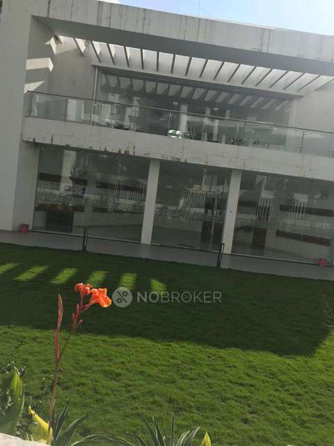 2 BHK Flat In Truspace Prima Domus for Rent  In Balewadi