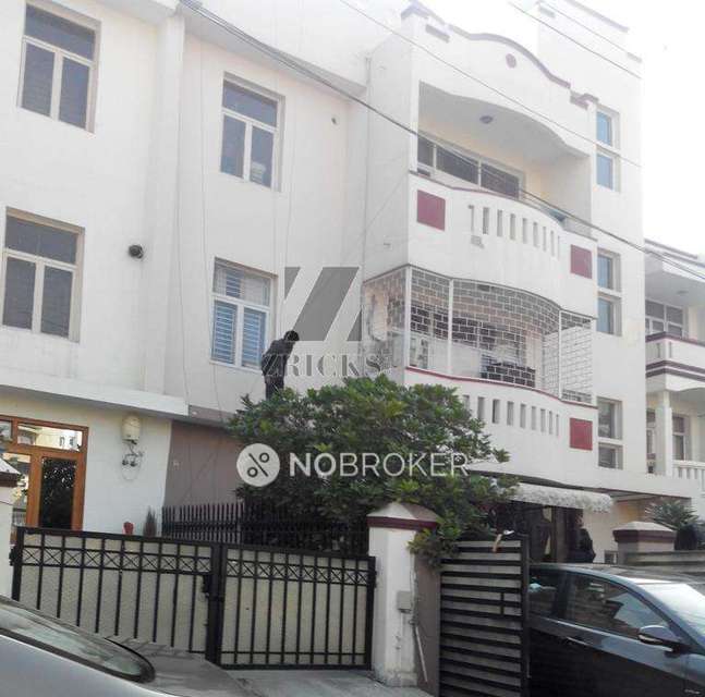 1 BHK Flat In Builder Floor for Rent  In Sector 52