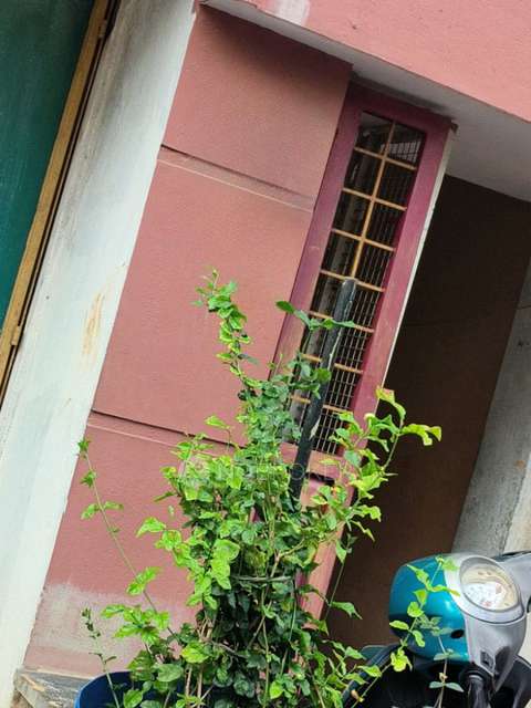 4+ BHK Flat In Standalone Building  For Sale  In Basaveshwar Nagar