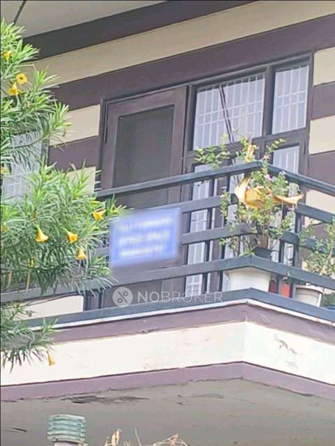 3 BHK Flat In Stand Alone Building  for Rent  In Sector 38