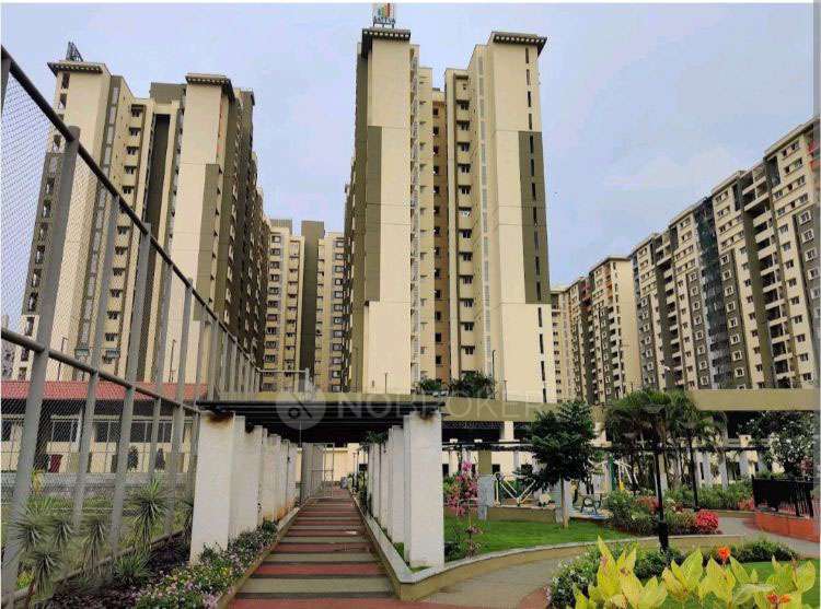 1 BHK Flat In Sattva Anugraha for Rent  In Sattva Anugraha, 9th Cross Rd, Govindaraja Nagar Ward, Cauvery Nagar, Vijayanagar, Bengaluru, Karnataka 560079, India