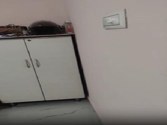 1 RK Flat for Rent  In Wagholi