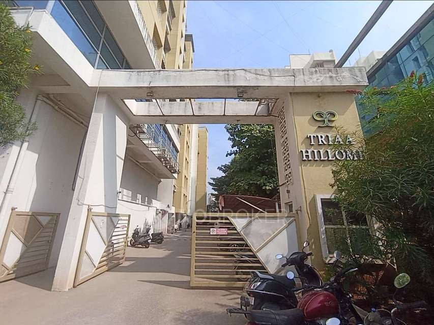 2 BHK Flat In Triaa Hillome for Rent  In Lohegaon