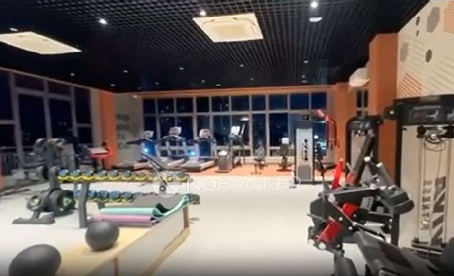 2 BHK Flat In Ashiana Malhar for Rent  In Hinjewadi