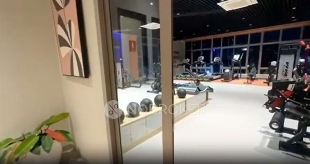 2 BHK Flat In Ashiana Malhar for Rent  In Hinjewadi