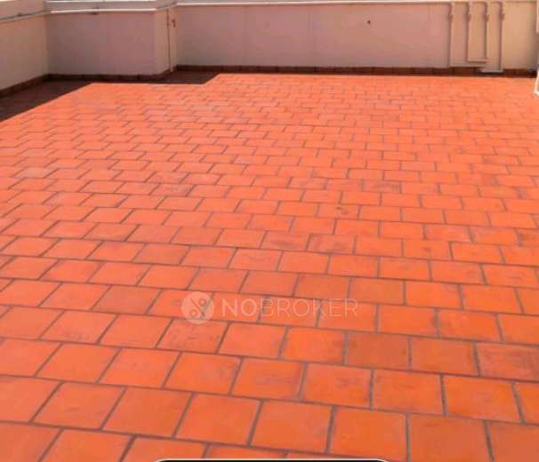 1 BHK Flat In #82 Nova for Rent  In Nova Apartment #82