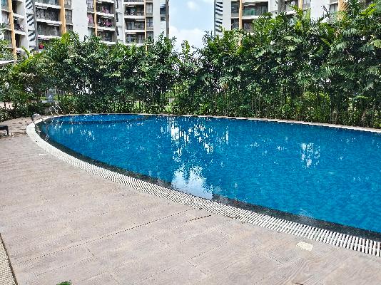 2 BHK Flat In Joyville Hinjawadi for Rent In Hinjawadi