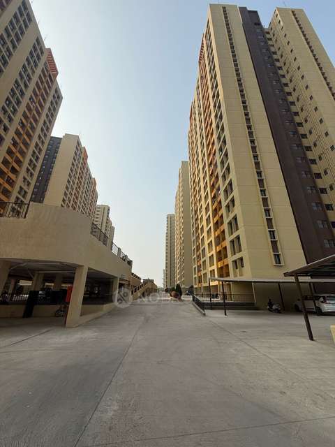 2 BHK Flat In Falcon Tower At Riverview City for Rent  In Riverview City Pune Magrapatta