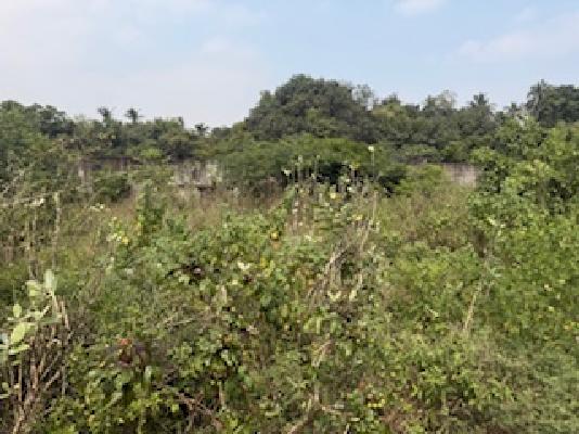 Plot For Sale  In Sithalapakkam