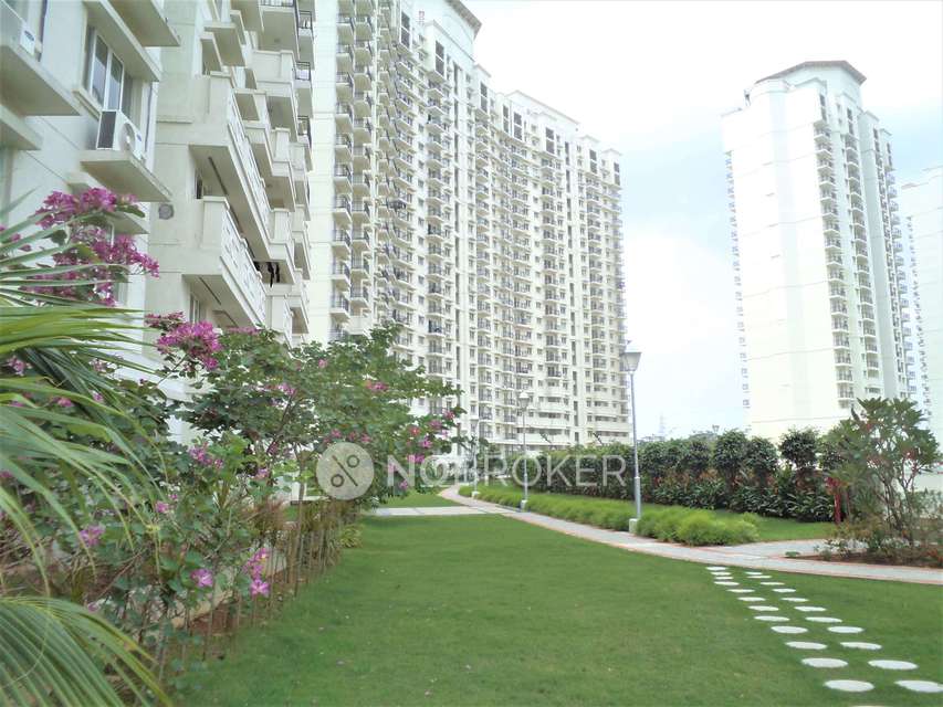 3 BHK Flat In Dlf New Town Heights Sector 86 for Rent  In Sector 87