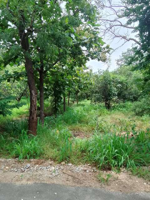 Plot For Sale  In Pragathi Resorts  In Shankarpalli - Hyderabad Rd