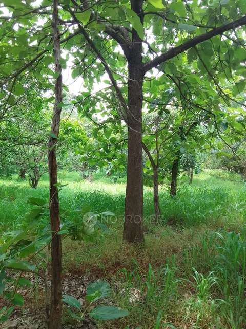 Plot For Sale  In Pragathi Resorts  In Shankarpalli - Hyderabad Rd