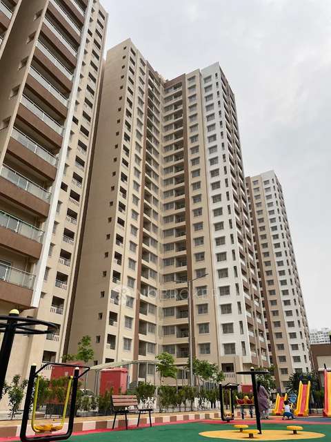 2 BHK Flat In Eden Garden Tathawade for Rent  In Eden Garden Tathawade