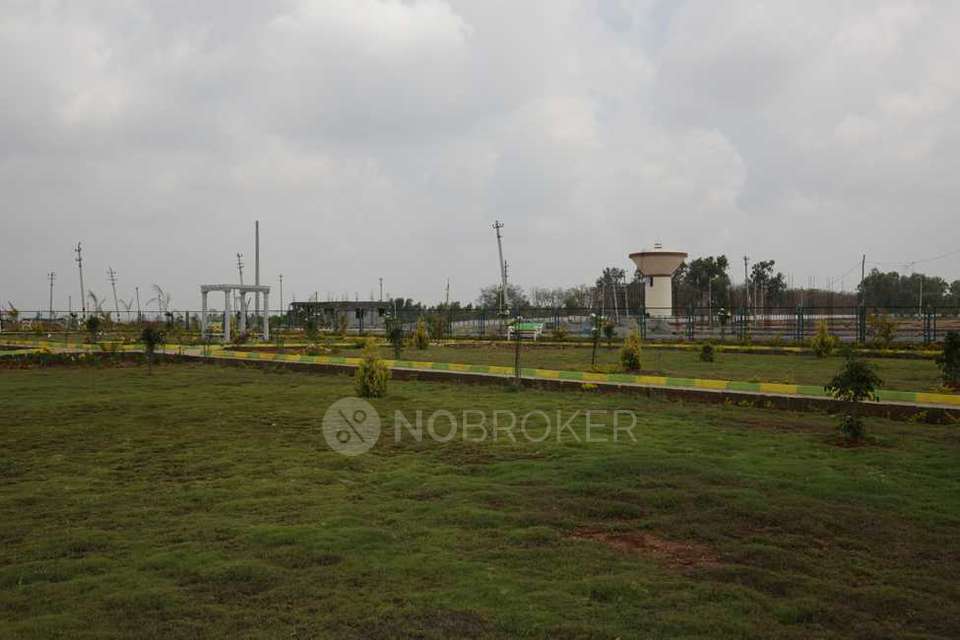 Plot For Sale  In Nri Center City