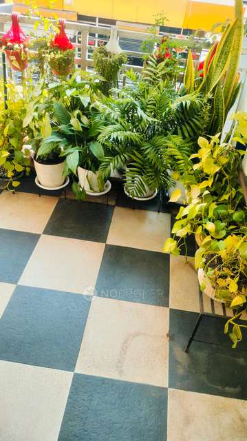 Single Room for Female In 2 BHK  In Paksha Apartment In Wadgaon Sheri