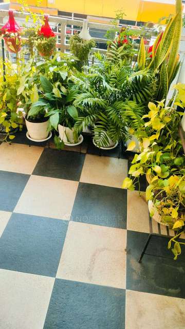 Single Room for Female In 2 BHK  In Paksha Apartment In Wadgaon Sheri