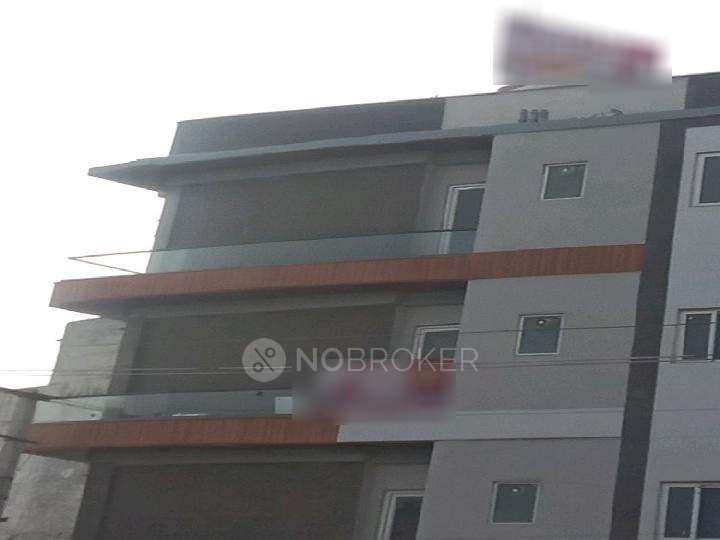 PG for Girls in Sector 14