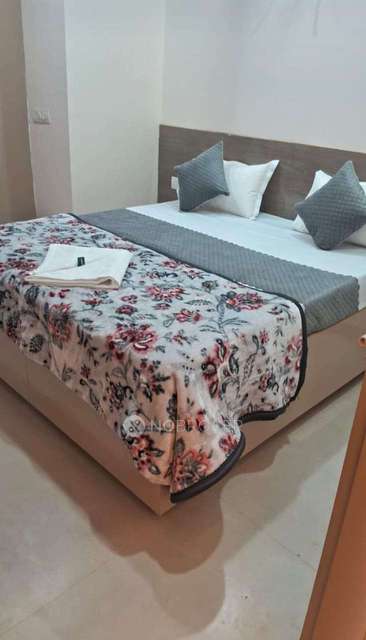 PG for Girls in Sector 14