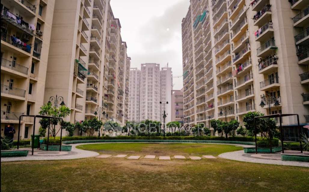 1 BHK Flat In Raksha Addela Sector 16c for Rent In Greater Noida