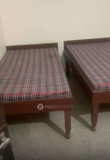 1 RK Flat In Gitansh Residence for Rent  In  Sector 134