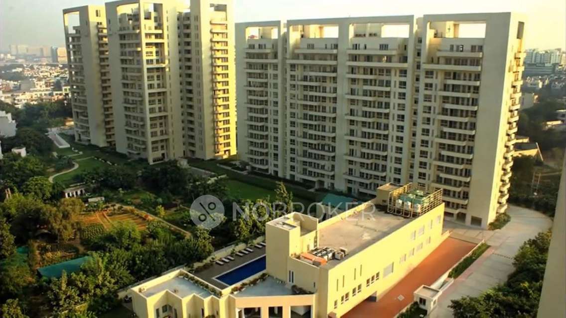 1 BHK Flat In Mgf The Vilas Tower For Sale  In Sector 25