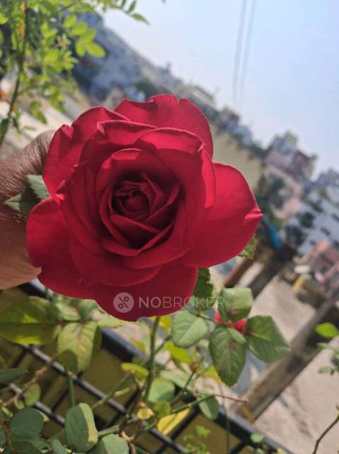 Plot For Sale  In Kukatpally