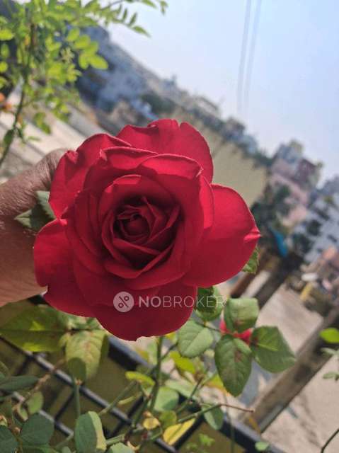 Plot For Sale  In Kukatpally